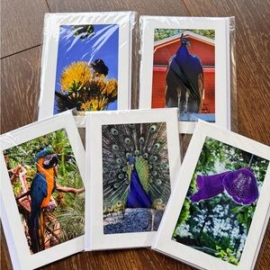 Set of (5) Colorful Bird photo blank Greeting Card Set. 5x7 card & envelope